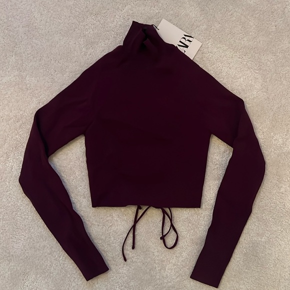 Zara Cropped Backless Sweater - Small - Picture 1 of 2